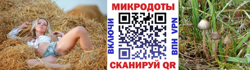 darknet состав  купить наркоту  Ветлуга  Галлюциногенные грибы Cubensis 